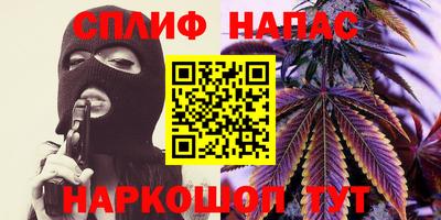 МДПВ Пенза
