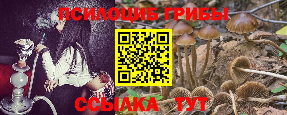 Псилоцибиновые грибы мицелий  Вход с VPN  Обь 